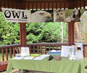 Owl Society