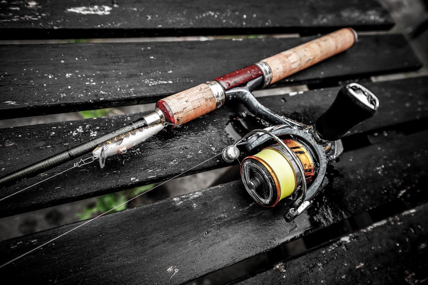 Guide To Best Fishing Rod/Line - SportsWave Broadcasting